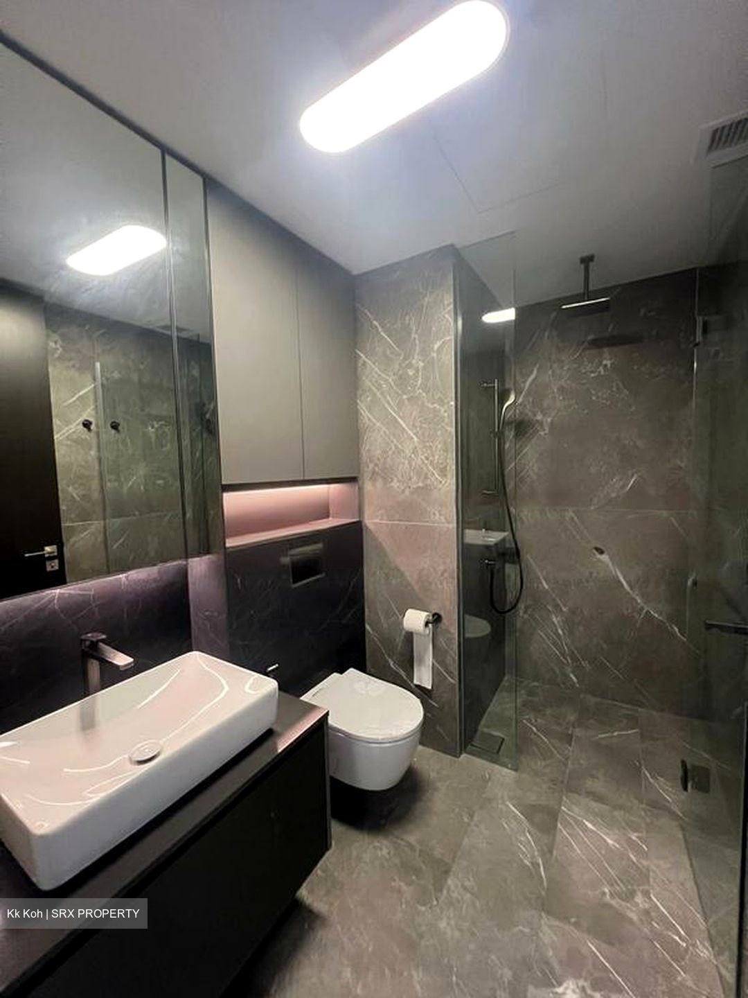 Irwell Hill Residences (D9), Apartment #458494751